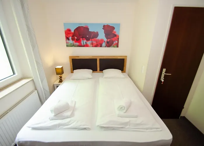 The Good View By In One *